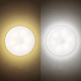 Intelligent Human Induction LED Night Light