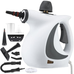 Steam Disinfection Cleaner (SK-01)