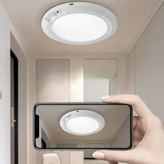 Motion Sensor Ceiling Light