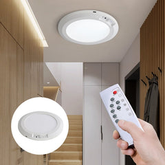 Motion Sensor Ceiling Light