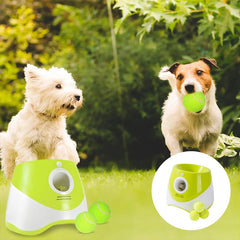 Automatic Dog Ball Launcher