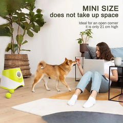 Automatic Dog Ball Launcher