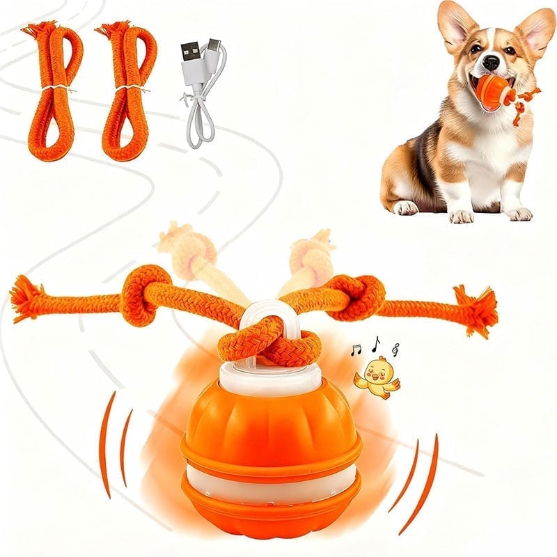 Interactive Smart Rolling Pet Ball