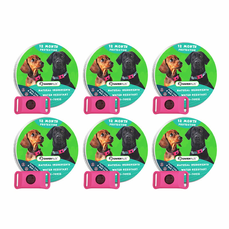 12 Months Flea and Tick Free