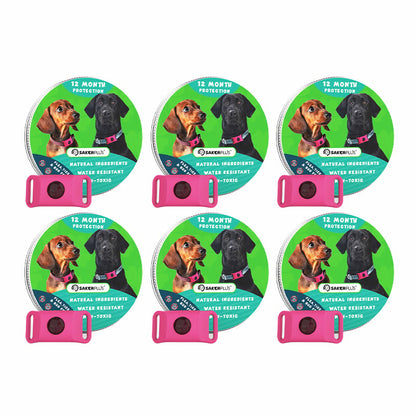 12 Months Flea and Tick Free