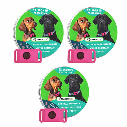 12 Months Flea and Tick Free
