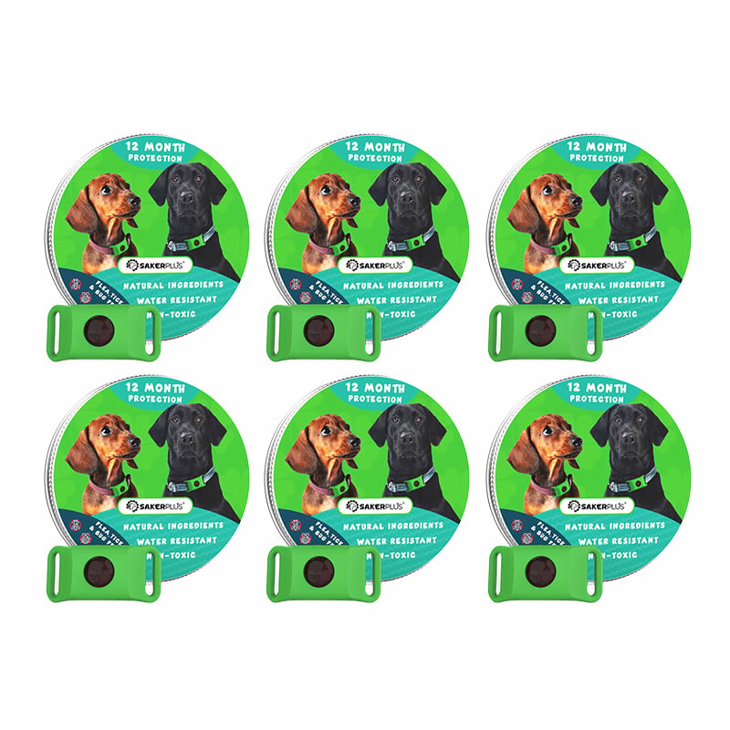 12 Months Flea and Tick Free