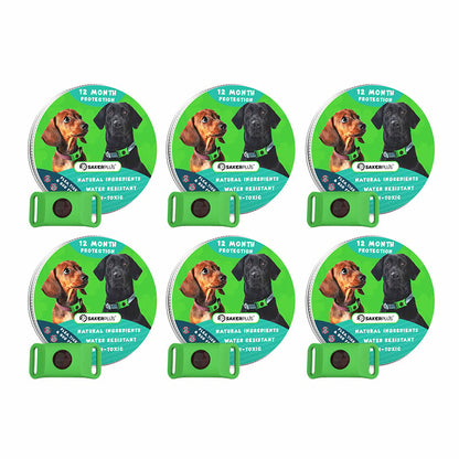 12 Months Flea and Tick Free