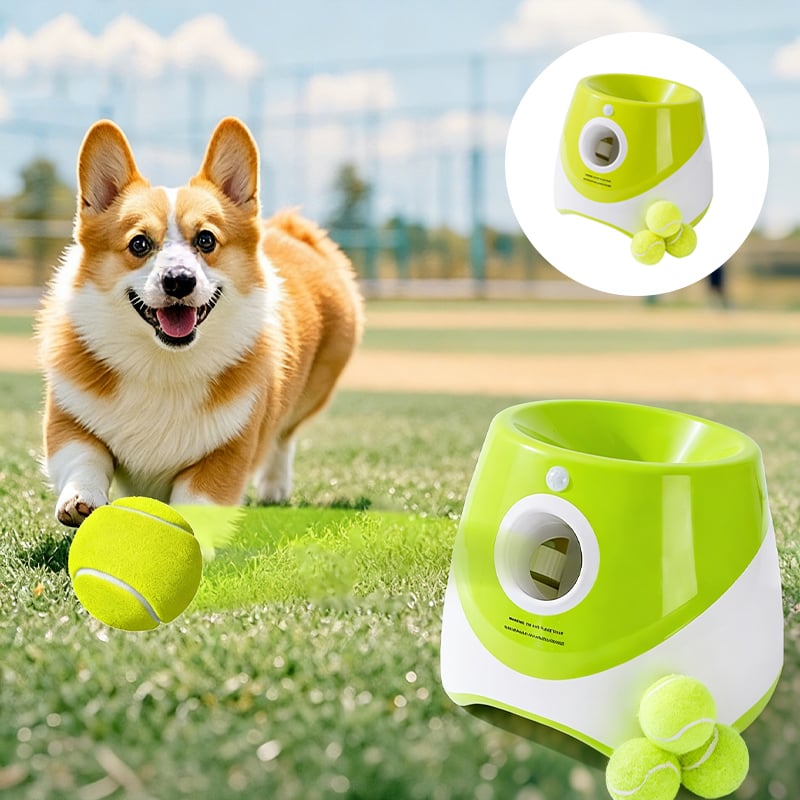 Automatic Dog Ball Launcher