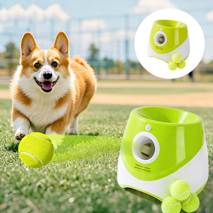 Automatic Dog Ball Launcher