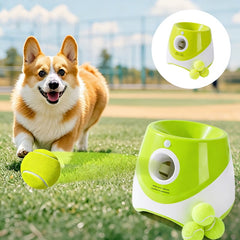 Automatic Dog Ball Launcher