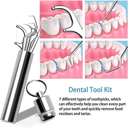 Stainless Steel Toothpick Set