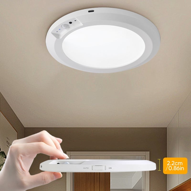 Motion Sensor Ceiling Light