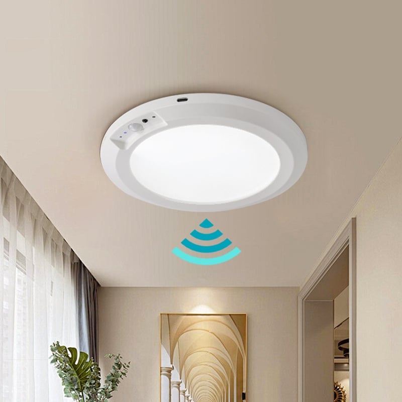 Motion Sensor Ceiling Light