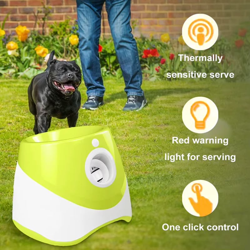 Automatic Dog Ball Launcher