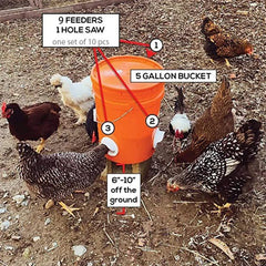 Feeding Kit Special Tools For Breeding Chickens Ducks Poultry Accessories