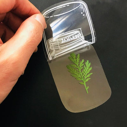 Beautiful Transparent Dried Flower Bookmarks
