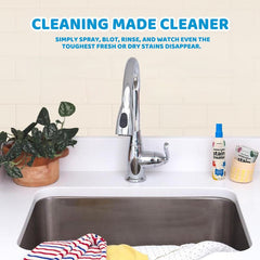 New Stain Treater Spray