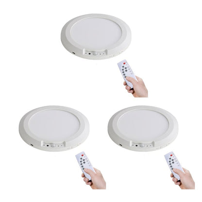Motion Sensor Ceiling Light