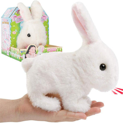 Interactive Simulation Toy