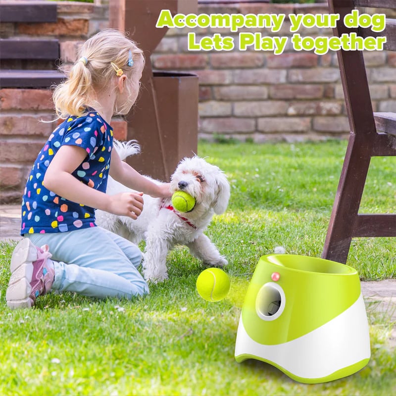 Automatic Dog Ball Launcher