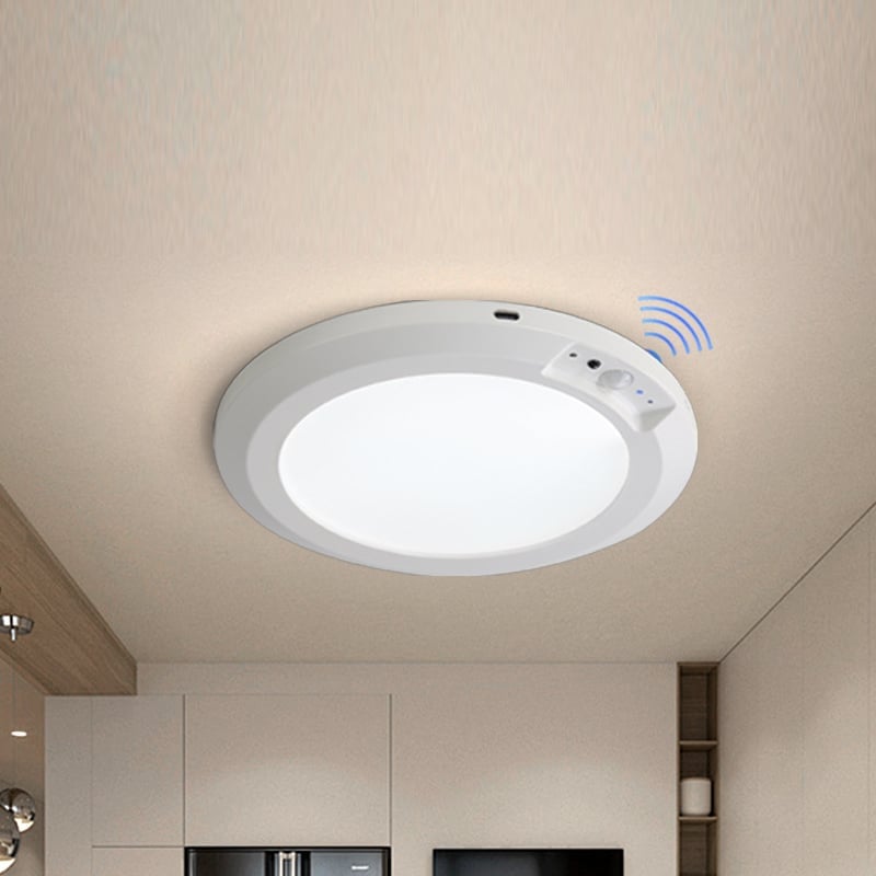 Motion Sensor Ceiling Light