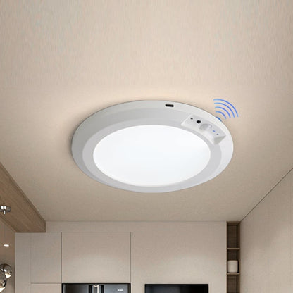 Motion Sensor Ceiling Light