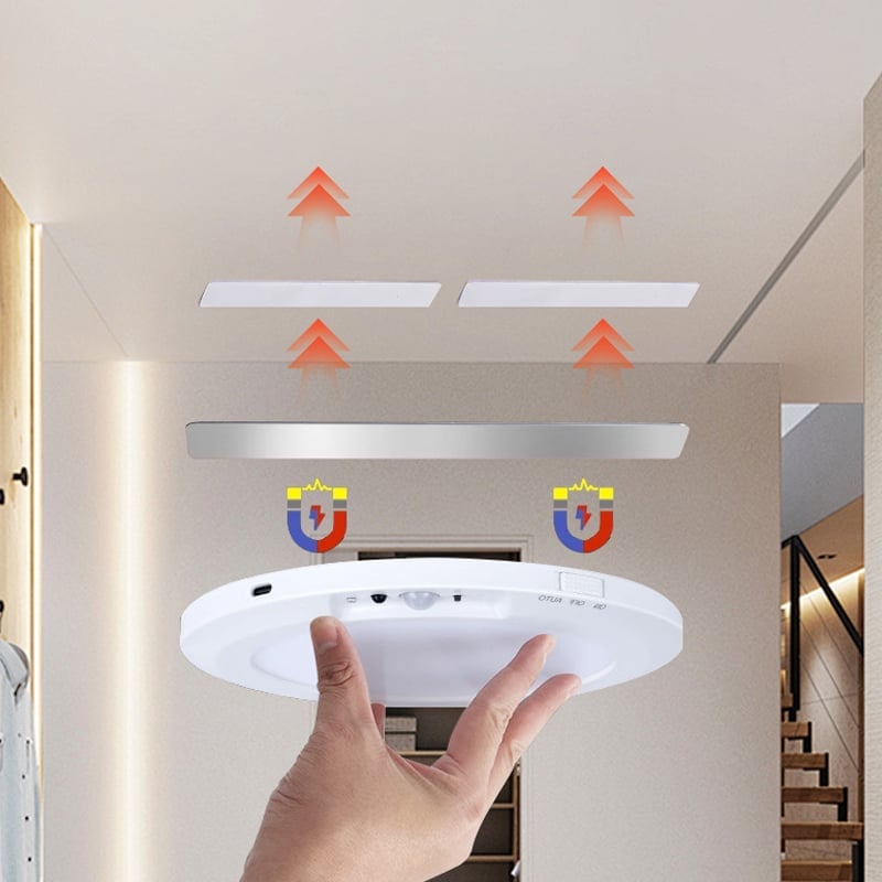 Motion Sensor Ceiling Light