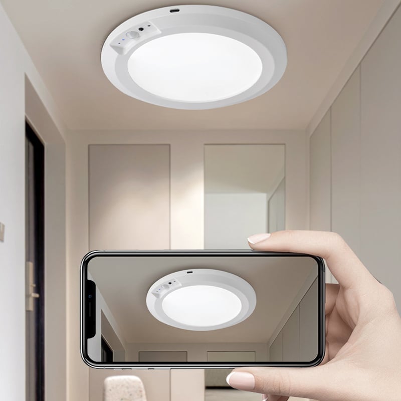 Motion Sensor Ceiling Light