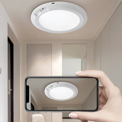 Motion Sensor Ceiling Light