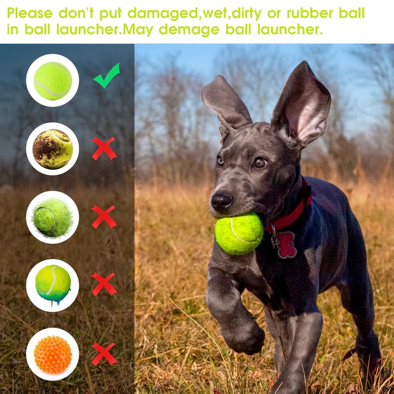 Automatic Dog Ball Launcher