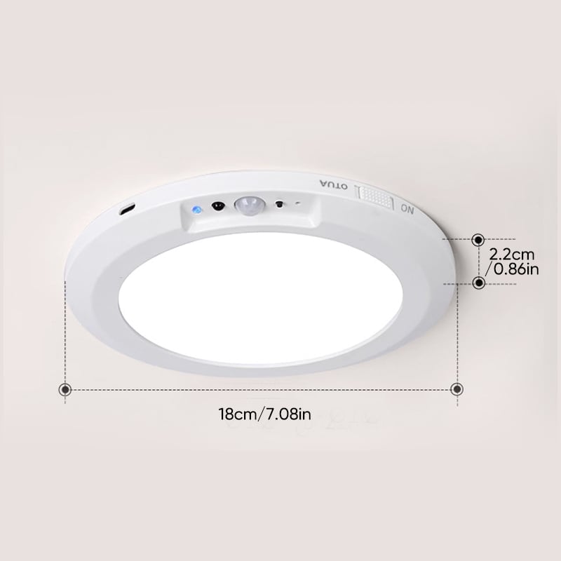Motion Sensor Ceiling Light