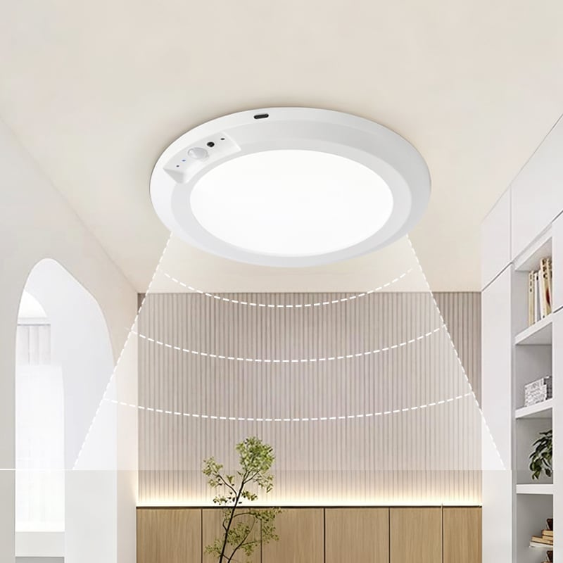 Motion Sensor Ceiling Light