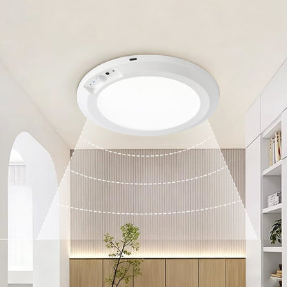 Motion Sensor Ceiling Light