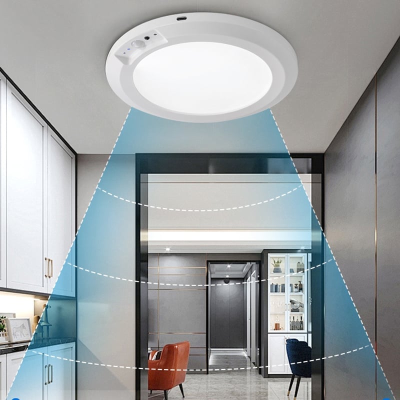 Motion Sensor Ceiling Light