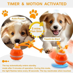 Interactive Smart Rolling Pet Ball