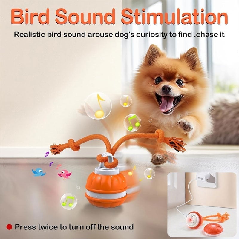 Interactive Smart Rolling Pet Ball
