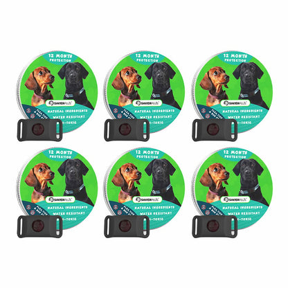 12 Months Flea and Tick Free