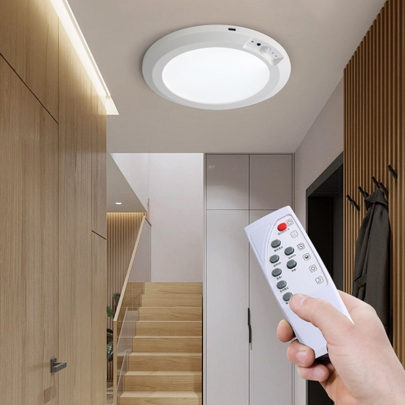 Motion Sensor Ceiling Light