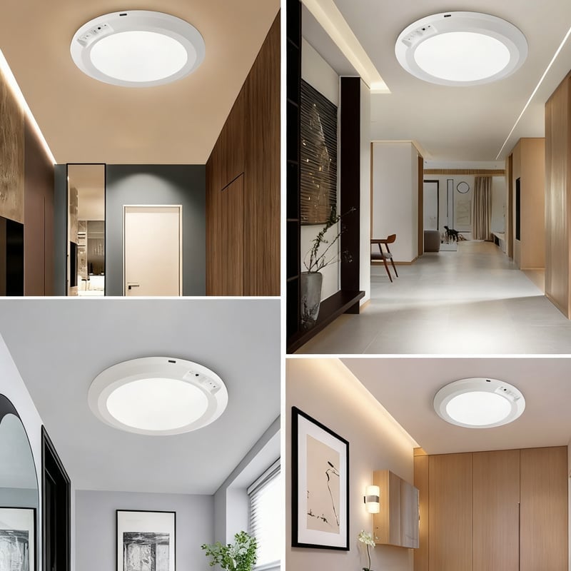 Motion Sensor Ceiling Light
