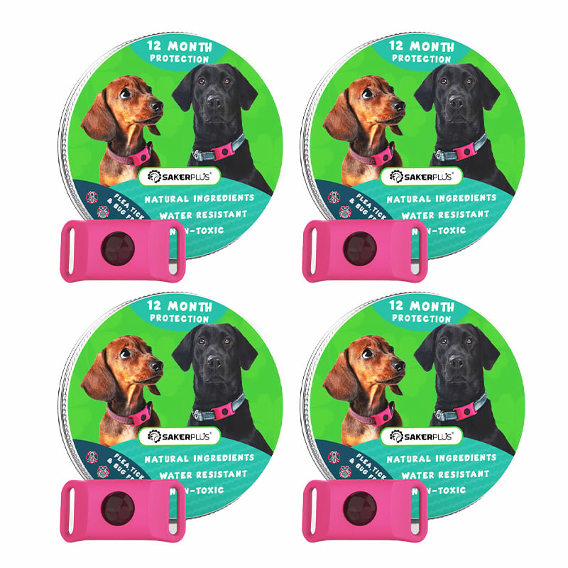 12 Months Flea and Tick Free