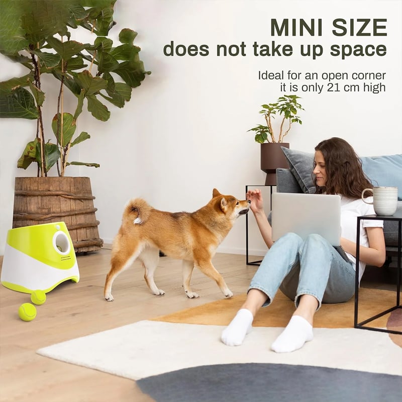 Automatic Dog Ball Launcher