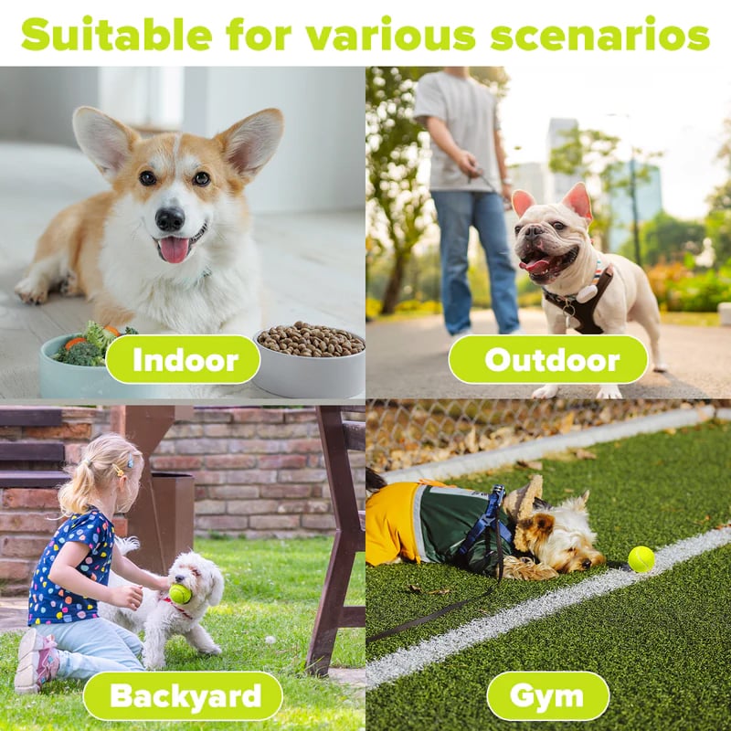 Automatic Dog Ball Launcher