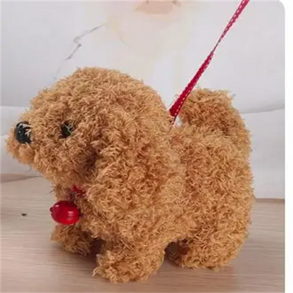 Interactive Simulation Toy