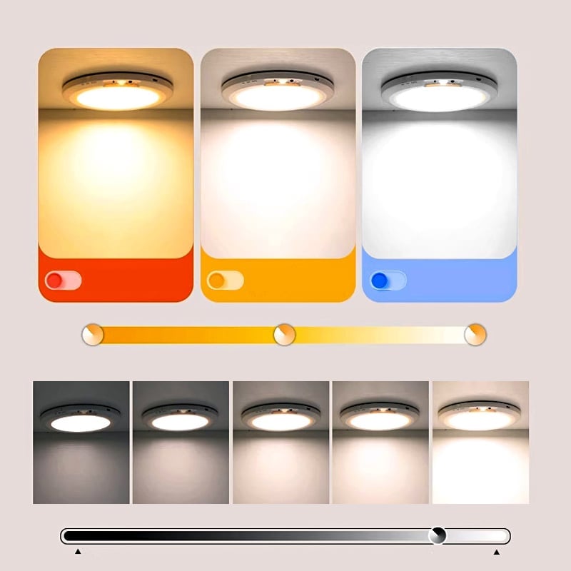Motion Sensor Ceiling Light